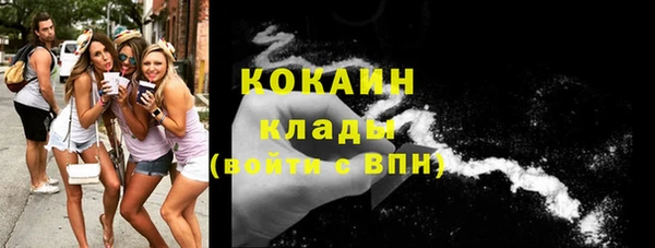 ECSTASY Алзамай