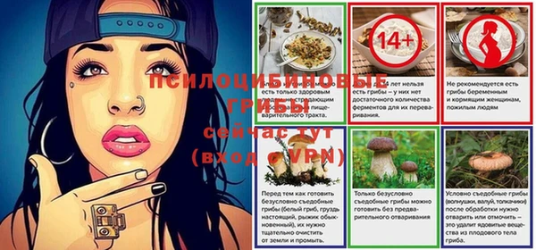 стаф Абаза