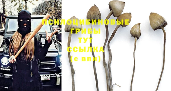 винт Алексеевка