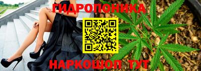 гашиш Боровичи